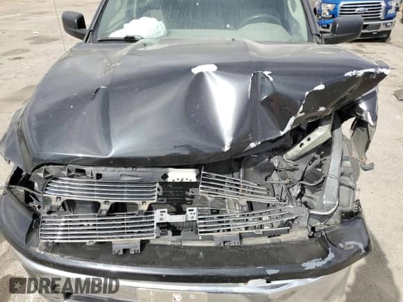 2009 Dodge 1500 SLT with VIN 1D3HB16P49J516352, listed as a Copart auction lot 41582694 with Not provided miles and Non repairable. Bid and sale history available at DreamBid. Image 11.