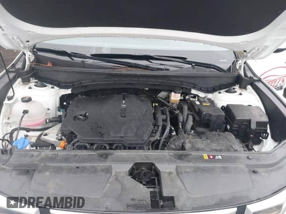 2024 Hyundai Santa Cruz SE с VIN 5NTJA4AE4RH083470, выставлен на аукционе IAAI как лот 42353951 с пробегом 16 424 миль миль и . История ставок и продаж доступна на DreamBid. Изображение 10.