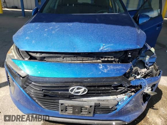 2018 Hyundai Ioniq Blue with VIN KMHC65LC4JU095974, listed as a Copart auction lot 71131255 with 113,541 mi miles and Salvage title. Bid and sale history available at DreamBid. Image 11.