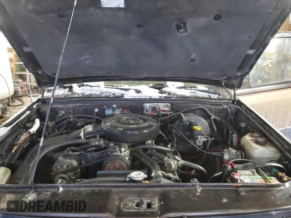 1990 Dodge Dakota with VIN 1B7GG26X9LS666745, listed as a Copart auction lot 44703175 with 121,682 mi miles and Salvage title. Bid and sale history available at DreamBid. Image 11.