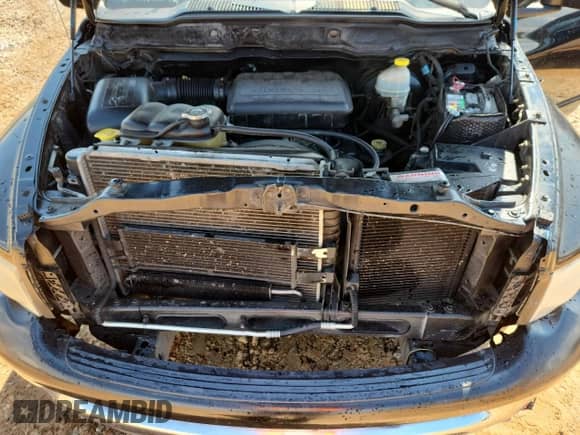 2002 Dodge 1500 with VIN 3B7HA18N42G110019, listed as a Copart auction lot 71277305 with 299,817 mi miles and Clean title. Bid and sale history available at DreamBid. Image 11.
