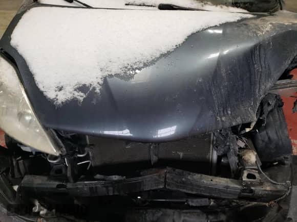 2009 Toyota Sienna CE с VIN 5TDZK23C09S280337, выставлен на аукционе Copart как лот 44597175 с пробегом Не указан миль и Списание • Salvage title. История ставок и продаж доступна на DreamBid. Изображение 13.