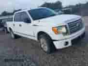 2009 Ford F-150 XL with VIN 1FTPW12V69FA75775, listed as a IAAI auction lot 43413296 with 196,577 mi miles and . Bid and sale history available at DreamBid. Image 1.