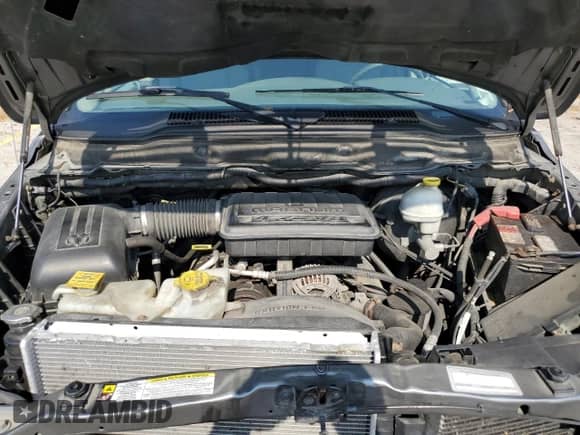 2007 Dodge 1500 SLT with VIN 1D7HU18P67J538940, listed as a Copart auction lot 80452485 with 284,981 mi miles and Salvage title. Bid and sale history available at DreamBid. Image 11.