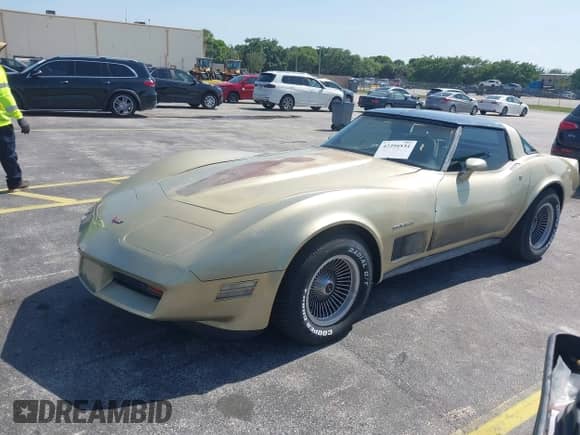 1982 Chevrolet Corvette z VIN 1G1AY0787C5122170, wystawiony jako IAAI lot #42295534 z przebiegiem 118 268 mil mil oraz . Historia ofert i sprzedaży dostępna na DreamBid. Obrazek 19.