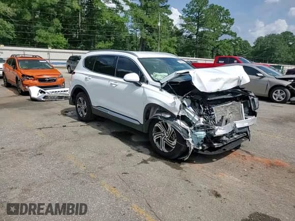 2022 Hyundai Santa Fe SEL с VIN 5NMS24AJ5NH390702, выставлен на аукционе Copart как лот 64223585 с пробегом 74 158 миль миль и Списание • Salvage title. История ставок и продаж доступна на DreamBid. Изображение 15.
