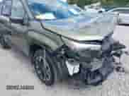 2025 Subaru Forester Premium z VIN JF2SLDBCXSH547118, wystawiony jako IAAI lot #43088245 z przebiegiem 1 219 mil mil oraz . Historia ofert i sprzedaży dostępna na DreamBid. Obrazek 18.