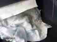 2023 Ford F-150 XL с VIN 1FTEW1CP6PKD62092, выставлен на аукционе IAAI как лот 42753403 с пробегом 64 683 миль миль и . История ставок и продаж доступна на DreamBid. Изображение 20.