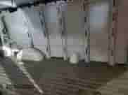 2017 Chevrolet Express Cargo with VIN 1GCWGBFF7H1103452, listed as a Copart auction lot 44024895 with 250,899 mi miles and Clean title. Bid and sale history available at DreamBid. Image 11.