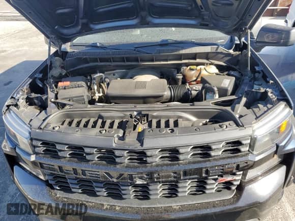 2020 Chevrolet Silverado 1500 Custom Trail Boss with VIN 1GCPYCEF2LZ107041, listed as a Copart auction lot 70178335 with 100,072 mi miles and Salvage title. Bid and sale history available at DreamBid. Image 11.