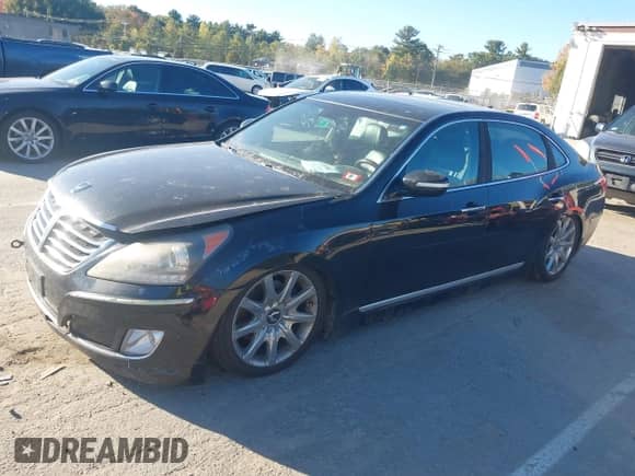 2011 Hyundai Equus Ultimate с VIN KMHGH4JF0BU041642, выставлен на аукционе IAAI как лот 43389987 с пробегом 150 490 миль миль и . История ставок и продаж доступна на DreamBid. Изображение 2.