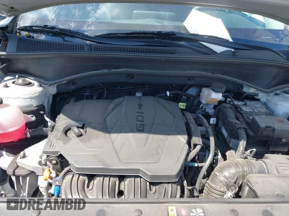 2023 Hyundai Santa Fe SEL z VIN 5NMS2DAJ2PH653747, wystawiony jako IAAI lot #42982225 z przebiegiem 25 939 mil mil oraz . Historia ofert i sprzedaży dostępna na DreamBid. Obrazek 10.