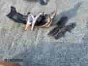 2016 Hyundai Veloster Turbo Rally Edition с VIN KMHTC6AE1GU258303, выставлен на аукционе Copart как лот 83948345 с пробегом 111 893 миль миль и Списание • Salvage title. История ставок и продаж доступна на DreamBid. Изображение 13.