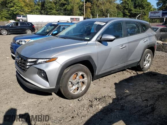 2024 Hyundai Tucson SE with VIN 5NMJACDE2RH311323, listed as a Copart auction lot 81233845 with 44,081 mi miles and Salvage title. Bid and sale history available at DreamBid. Image 1.