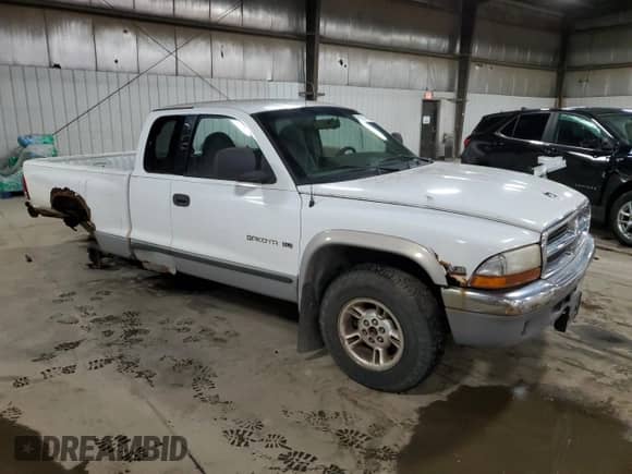 1999 Dodge Dakota SLT with VIN 1B7GG22Y9XS248237, listed as a Copart auction lot 58214765 with 189,034 mi miles and Salvage title. Bid and sale history available at DreamBid. Image 4.