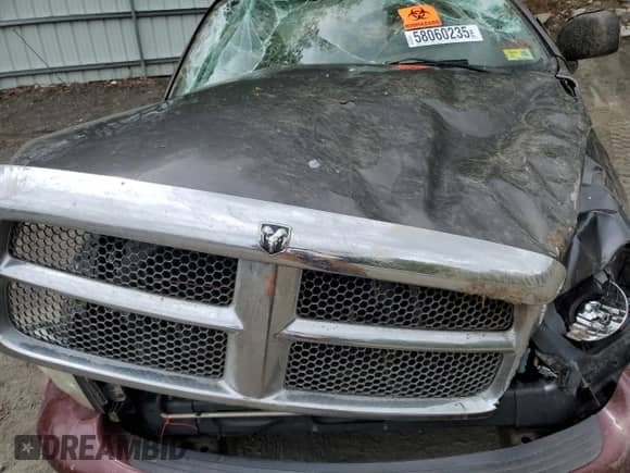 2004 Dodge 1500 SLT with VIN 1D7HU16D14J252210, listed as a Copart auction lot 58060235 with Not provided miles and Non repairable. Bid and sale history available at DreamBid. Image 11.