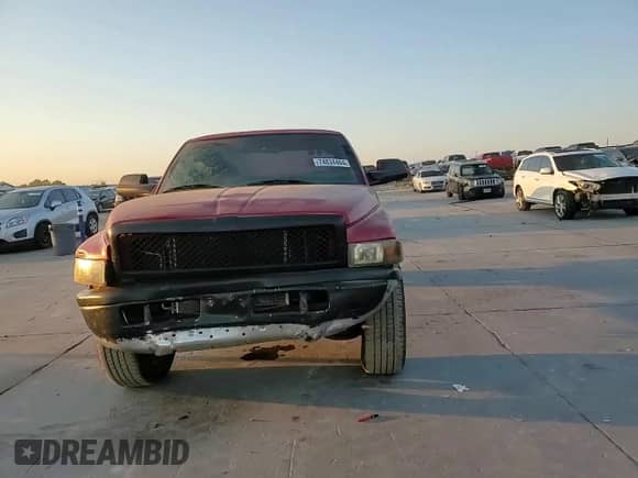 2000 Dodge 1500 z VIN 3B7HC12Y8YG120199, wystawiony jako Copart lot #74834464 z przebiegiem 218 439 mil mil oraz Szkoda całkowita • Salvage title. Historia ofert i sprzedaży dostępna na DreamBid. Obrazek 11.