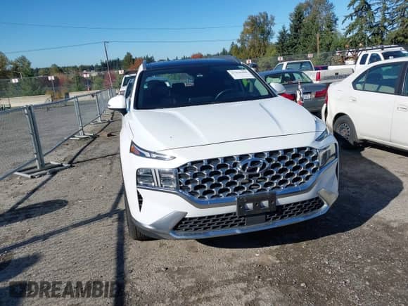 2021 Hyundai Santa Fe SEL with VIN 5NMS3DAJ5MH313016, listed as a IAAI auction lot 43438408 with 37,725 mi miles and . Bid and sale history available at DreamBid. Image 12.