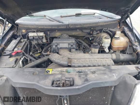 2004 Ford F-150 XLT with VIN 1FTPX14534NC46121, listed as a IAAI auction lot 43528346 with 194,077 mi miles and . Bid and sale history available at DreamBid. Image 10.