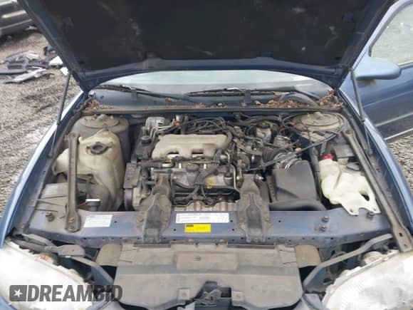 1998 Chevrolet Monte Carlo LS с VIN 2G1WW12MXW9300117, выставлен на аукционе IAAI как лот 41131678 с пробегом 70 732 миль миль и . История ставок и продаж доступна на DreamBid. Изображение 10.