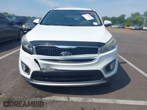 2017 Kia Sorento EX с VIN 5XYPH4A50HG292036, выставлен на аукционе IAAI как лот 42866965 с пробегом 175 881 миль миль и . История ставок и продаж доступна на DreamBid. Изображение 12.