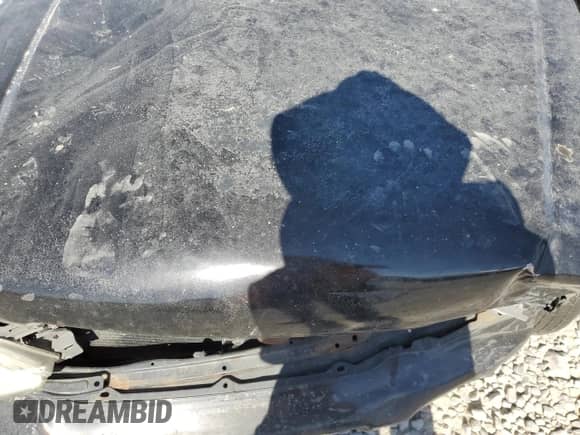 2002 Subaru Forester S with VIN JF1SF65682H705307, listed as a Copart auction lot 61612875 with Not provided miles and Salvage title. Bid and sale history available at DreamBid. Image 11.