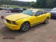 2006 Ford Mustang Standard с VIN 1ZVFT80N065160089, выставлен на аукционе IAAI как лот 43156110 с пробегом 212 075 миль миль и . История ставок и продаж доступна на DreamBid. Изображение 2.