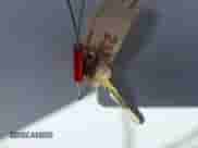 1999 Ford Econoline Cargo with VIN 1FTSE34L4XHA58575, listed as a IAAI auction lot 42534428 with 131,472 mi miles and . Bid and sale history available at DreamBid. Image 11.