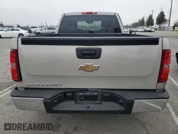 2009 Chevrolet Silverado 1500 Work Truck with VIN 1GCEC14X29Z221991, listed as a Copart auction lot 53161025 with 164,426 mi miles and Salvage title. Bid and sale history available at DreamBid. Image 6.