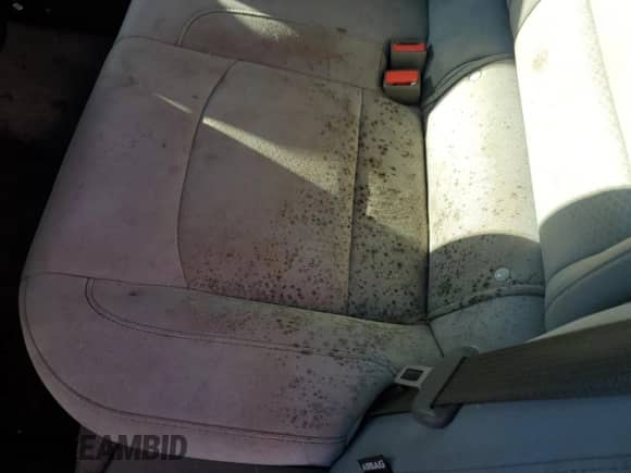 2016 Chevrolet Malibu LS с VIN 1G1ZB5ST6GF222533, выставлен на аукционе Copart как лот 87064385 с пробегом 140 643 миль миль и Чистый • Clean title. История ставок и продаж доступна на DreamBid. Изображение 12.