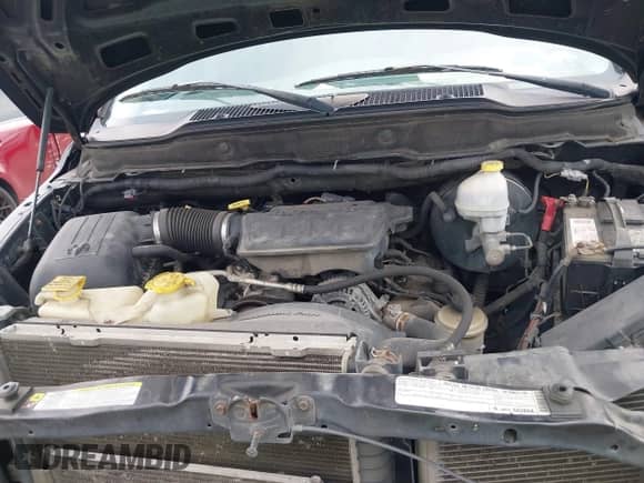 2008 Dodge 1500 SLT z VIN 1D7HA18N58S603134, wystawiony jako IAAI lot #43016370 z przebiegiem 194 488 mil mil oraz . Historia ofert i sprzedaży dostępna na DreamBid. Obrazek 10.