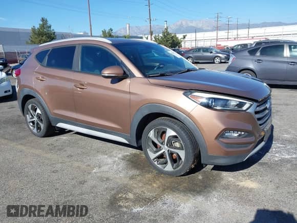 2017 Hyundai Tucson Eco с VIN KM8J33A29HU402239, выставлен на аукционе IAAI как лот 41265799 с пробегом 46 000 миль миль и . История ставок и продаж доступна на DreamBid. Изображение 1.