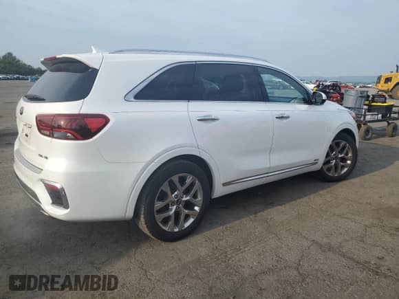 2019 Kia Sorento SX Limited with VIN 5XYPKDA58KG491098, listed as a Copart auction lot 59878905 with 49,081 mi miles and Salvage title. Bid and sale history available at DreamBid. Image 3.