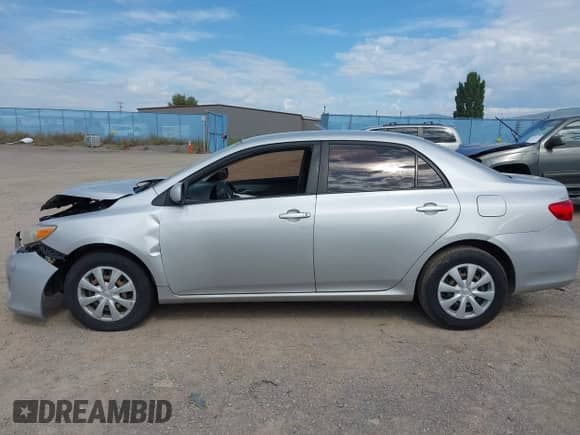 2011 Toyota Corolla S with VIN 2T1BU4EE7BC679377, listed as a IAAI auction lot 42962311 with Not provided miles and . Bid and sale history available at DreamBid. Image 15.