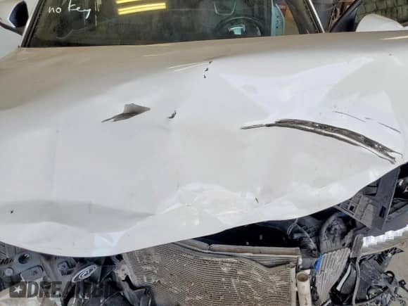 2022 Hyundai Santa Cruz Limited with VIN 5NTJEDAF9NH039066, listed as a Copart auction lot 81259125 with 24,489 mi miles and Salvage title. Bid and sale history available at DreamBid. Image 11.