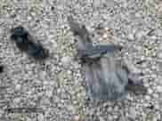 2011 Chevrolet Malibu 2LT с VIN 1G1ZD5EU4BF156135, выставлен на аукционе Copart как лот 86431745 с пробегом 183 475 миль миль и Чистый • Clean title. История ставок и продаж доступна на DreamBid. Изображение 12.