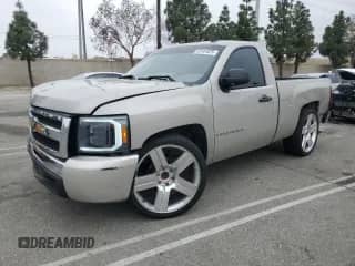 2009 Chevrolet Silverado 1500 Work Truck with VIN 1GCEC14X29Z221991, listed as a Copart auction lot 53161025 with 164,426 mi miles and Salvage title. Bid and sale history available at DreamBid. Image 1.