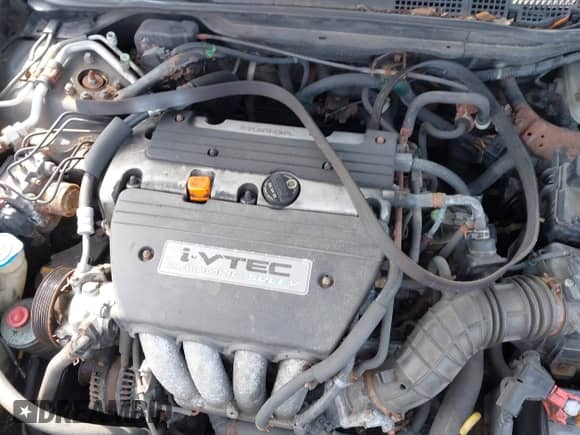 2006 Honda Accord LX SE with VIN 1HGCM56346A166154, listed as a IAAI auction lot 43279606 with 142,164 mi miles and . Bid and sale history available at DreamBid. Image 10.