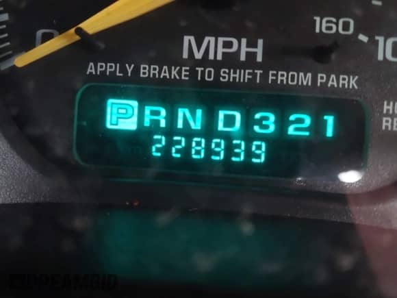 1999 Chevrolet Silverado 1500 LS z VIN 1GCEK14T4XZ200041, wystawiony jako IAAI lot #41475530 z przebiegiem 228 939 mil mil oraz . Historia ofert i sprzedaży dostępna na DreamBid. Obrazek 13.