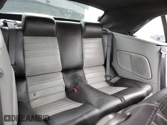 2009 Ford Mustang GT with VIN 1ZVHT85H095127397, listed as a Copart auction lot 44549435 with 95,203 mi miles and Salvage title. Bid and sale history available at DreamBid. Image 10.