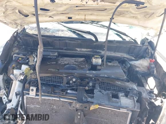 2019 Nissan Pathfinder SV with VIN 5N1DR2MM9KC600352, listed as a IAAI auction lot 41962641 with Not provided miles and . Bid and sale history available at DreamBid. Image 10.