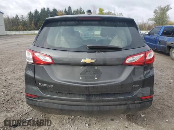 2019 Chevrolet Equinox LS with VIN 2GNAXSEV3K6254058, listed as a Copart auction lot 82670515 with 82,526 mi miles and Salvage title. Bid and sale history available at DreamBid. Image 6.