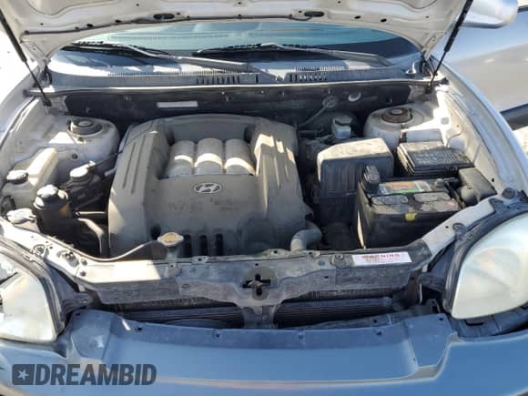 2004 Hyundai Santa Fe GLS z VIN KM8SC13D74U812202, wystawiony jako Copart lot #54954965 z przebiegiem 152 549 mil mil oraz Szkoda całkowita • Salvage title. Historia ofert i sprzedaży dostępna na DreamBid. Obrazek 12.