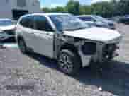 2019 Subaru Forester Premium z VIN JF2SKAGC1KH591888, wystawiony jako IAAI lot #43059255 z przebiegiem 78 678 mil mil oraz . Historia ofert i sprzedaży dostępna na DreamBid. Obrazek 1.