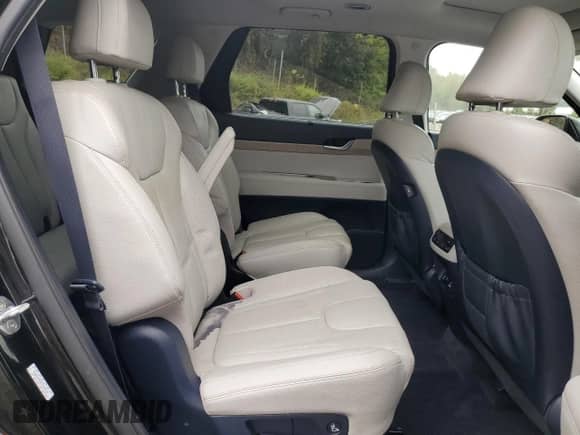 2021 Hyundai Palisade SEL with VIN KM8R4DHE8MU206650, listed as a Copart auction lot 81599495 with 79,750 mi miles and Salvage title. Bid and sale history available at DreamBid. Image 11.