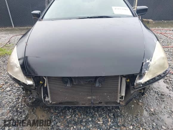 2006 Honda Accord EX-L z VIN 1HGCM72686A008699, wystawiony jako IAAI lot #43273784 z przebiegiem 223 600 mil mil oraz . Historia ofert i sprzedaży dostępna na DreamBid. Obrazek 6.