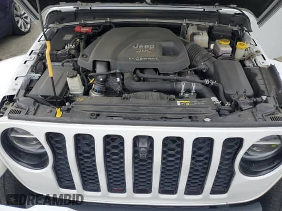 2021 Jeep Wrangler Unlimited Sahara High Altitude with VIN 1C4HJXEM2MW539162, listed as a Copart auction lot 81985614 with Not provided miles and Salvage title. Bid and sale history available at DreamBid. Image 12.