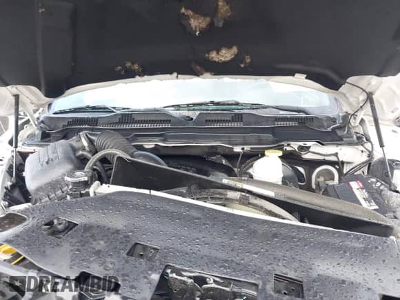 2019 Ram 1500 Tradesman z VIN 3C6JR6DT0KG506015, wystawiony jako IAAI lot #42857503 z przebiegiem 64 834 mil mil oraz . Historia ofert i sprzedaży dostępna na DreamBid. Obrazek 10.