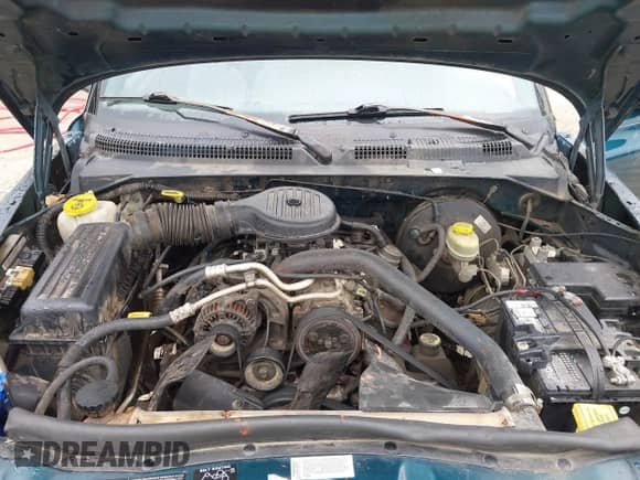 1997 Dodge Dakota с VIN 1B7GL23X8VS130176, выставлен на аукционе IAAI как лот 41808664 с пробегом 161 552 миль миль и . История ставок и продаж доступна на DreamBid. Изображение 10.