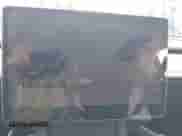 2023 Tesla Model Y Long Range с VIN 7SAYGDEE4PA146570, выставлен на аукционе IAAI как лот 42803265 с пробегом 33 836 миль миль и . История ставок и продаж доступна на DreamBid. Изображение 17.